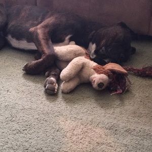 Meet your Posher, Jorge